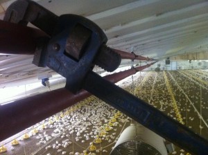 Work starts at Savage Cat Farm